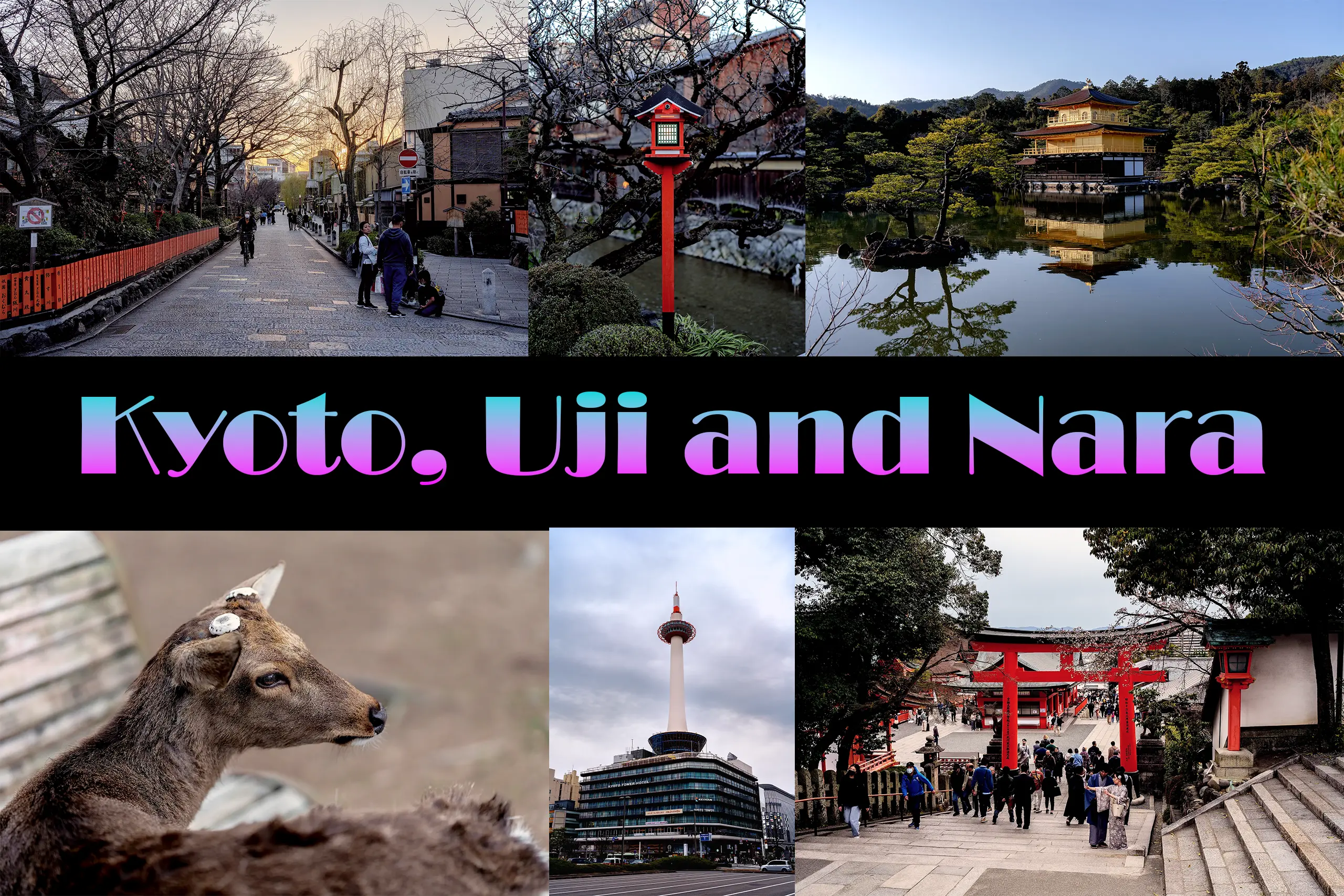 Kyoto, Uji and Nara