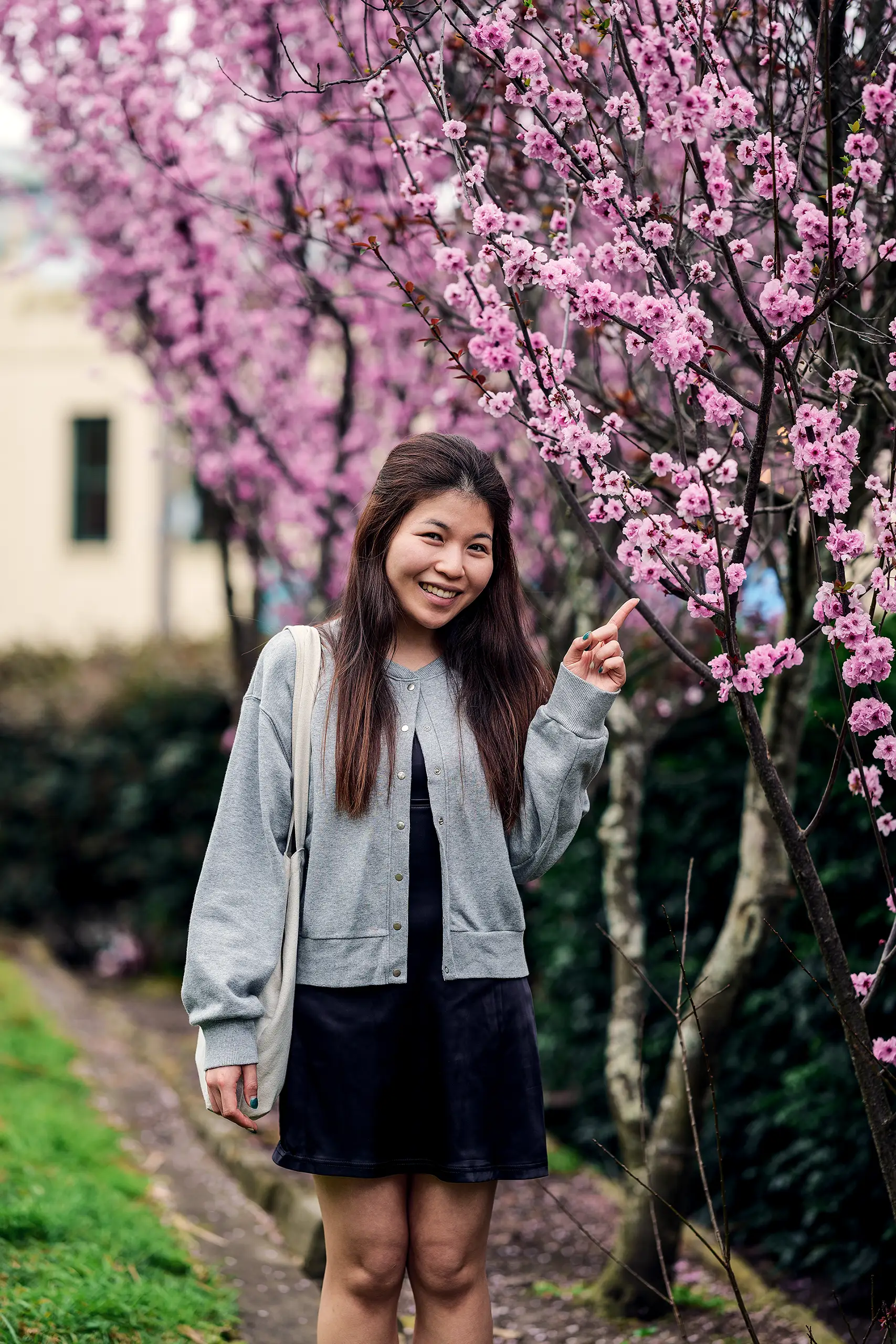 My Wife with Cherry Blossoms in Sydney