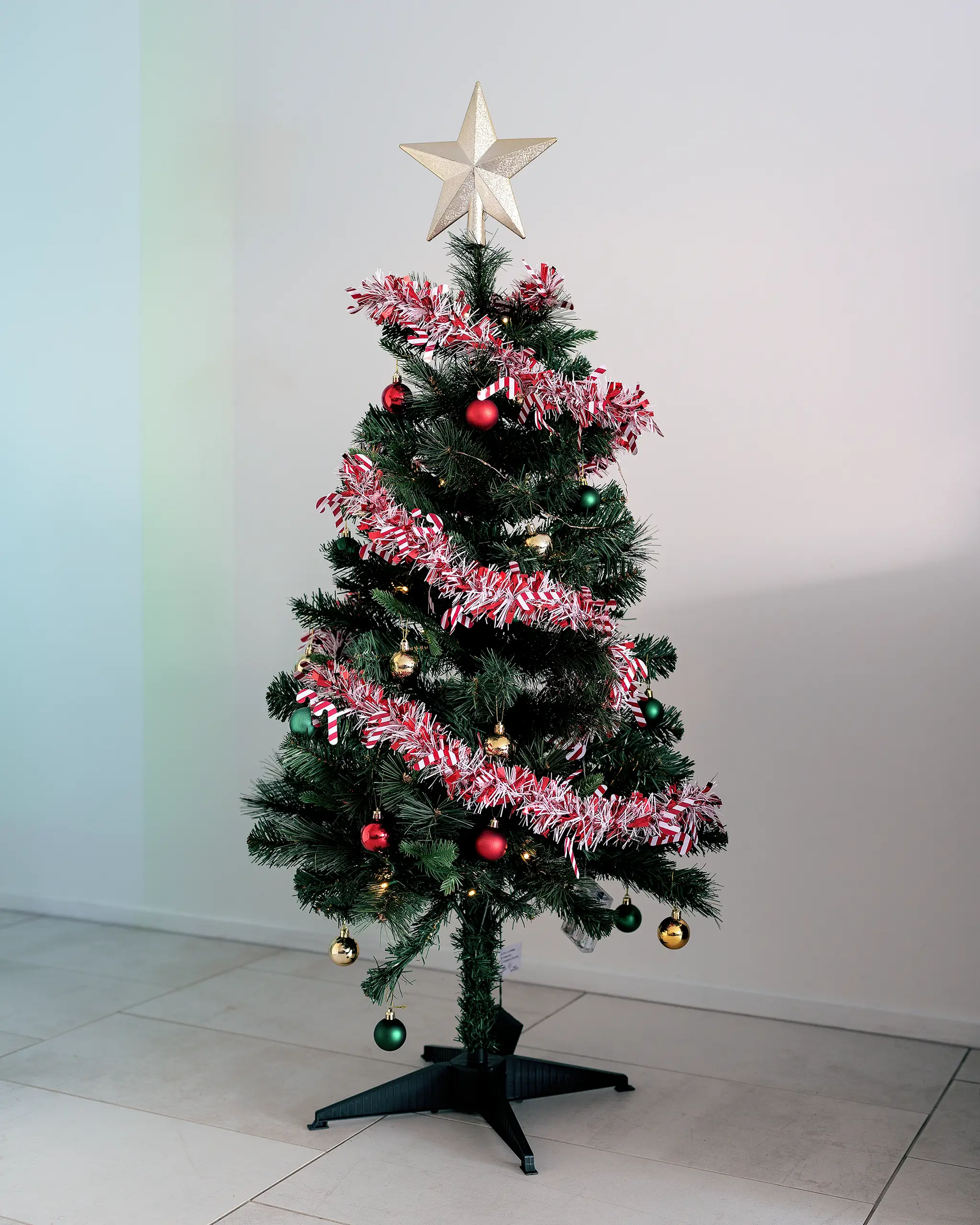 2025 Christmas Tree