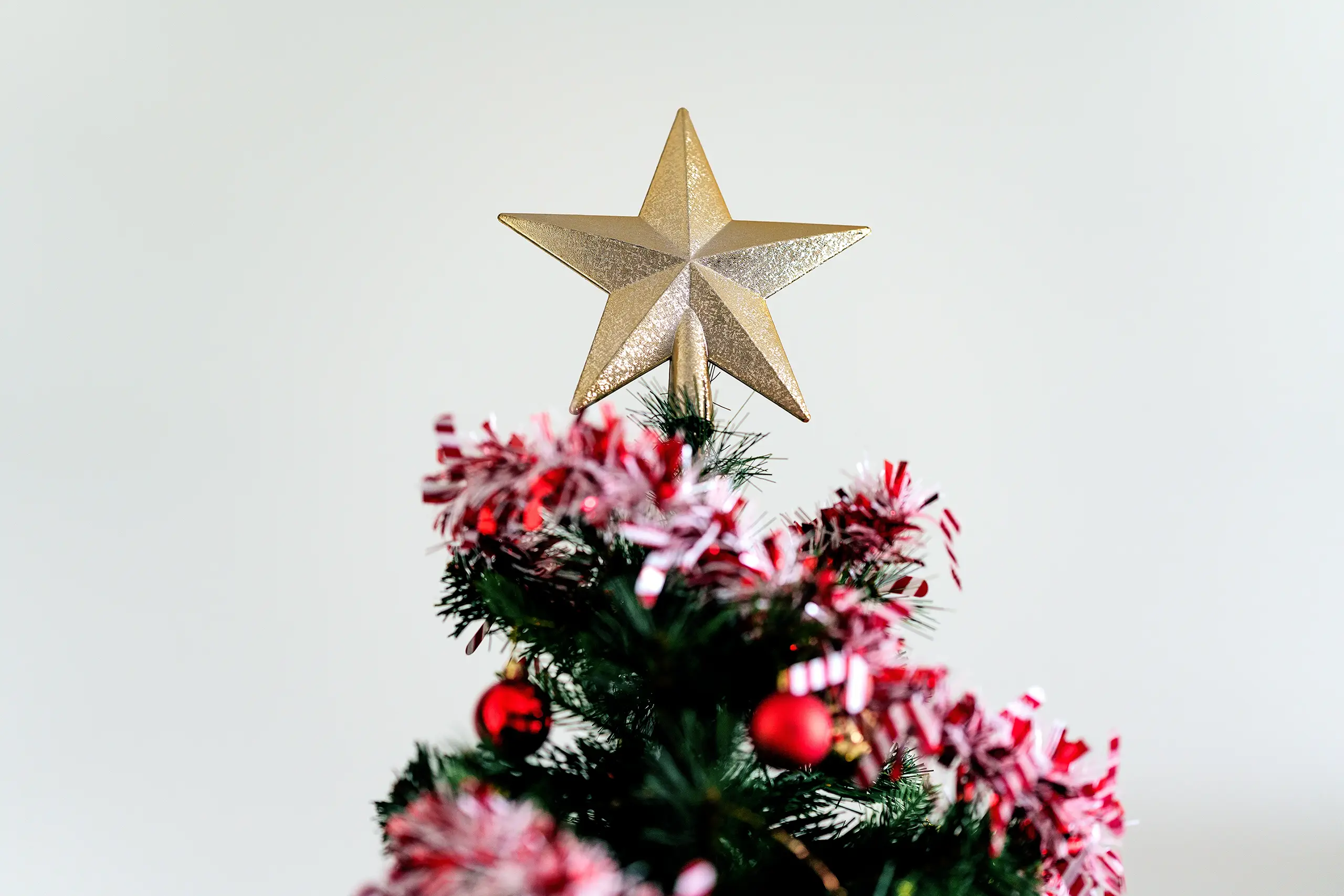 The Tree Is Up, Xmas Time Is Now